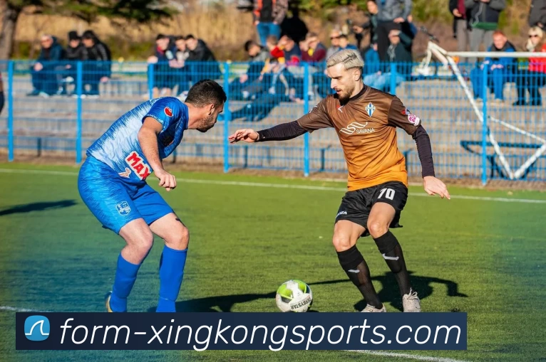 星空体育平台生态图